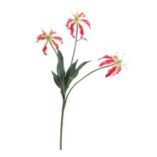 Gloriosa Spray w/3 Flowers Red (50cm)