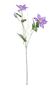 Real Garden Clematics Purple (76cm)