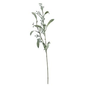 Mimosa Spray Green (81cm)