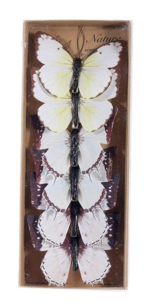 Pk6 x 8cm White / Brown Butterflies w/clips