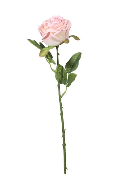 Fantasia Rose Pink
