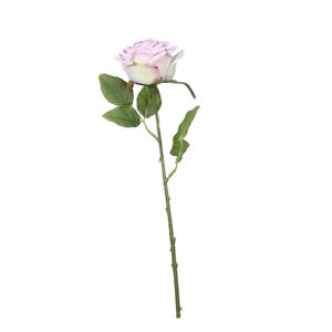 Fantasia Rose Lavender