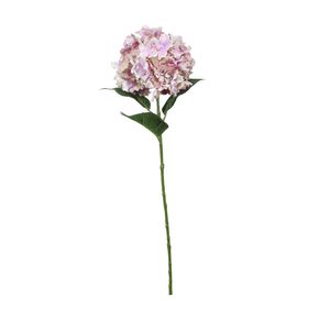 Fantasia Hydrangea Lavender