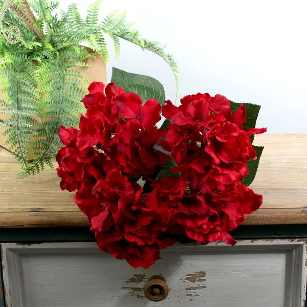 Arundel Hydrangea Bush Red (12/144)