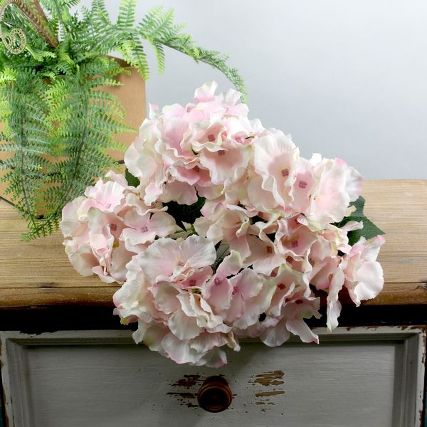 Arundel Hydrangea Bush Pink (12/144)