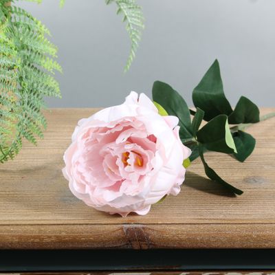 Arundel Garden Peony Light Pink (24/192)