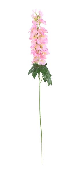 Arundel Garden Delphinium Pink (24/192)