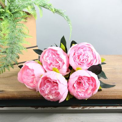 Arundel Peony Bush Pink (12/144)