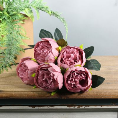 Arundel Peony Bush Dusky Pink (12/144)