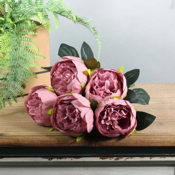 Arundel Peony Bush Dusky Pink (12/144)