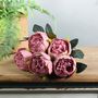Arundel Peony Bush Dusky Pink (12/144)