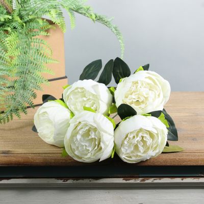 Arundel Peony Bush Ivory (12/144)