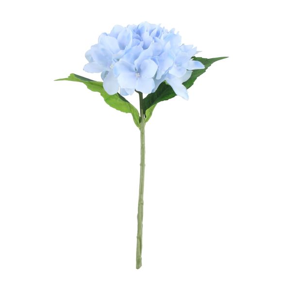 Arundel Hydrangea Blue (24/144)