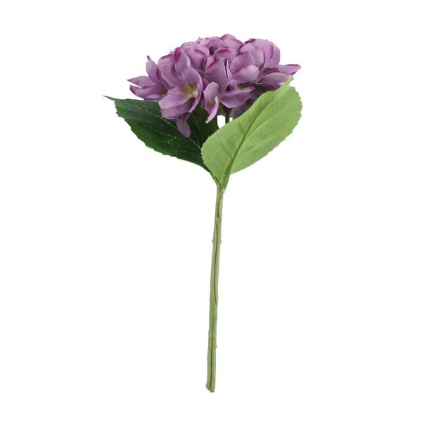 Arundel Hydrangea Purple (24/144)