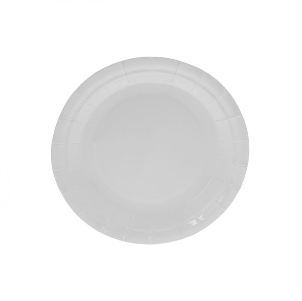 7 Inch Paper Plate