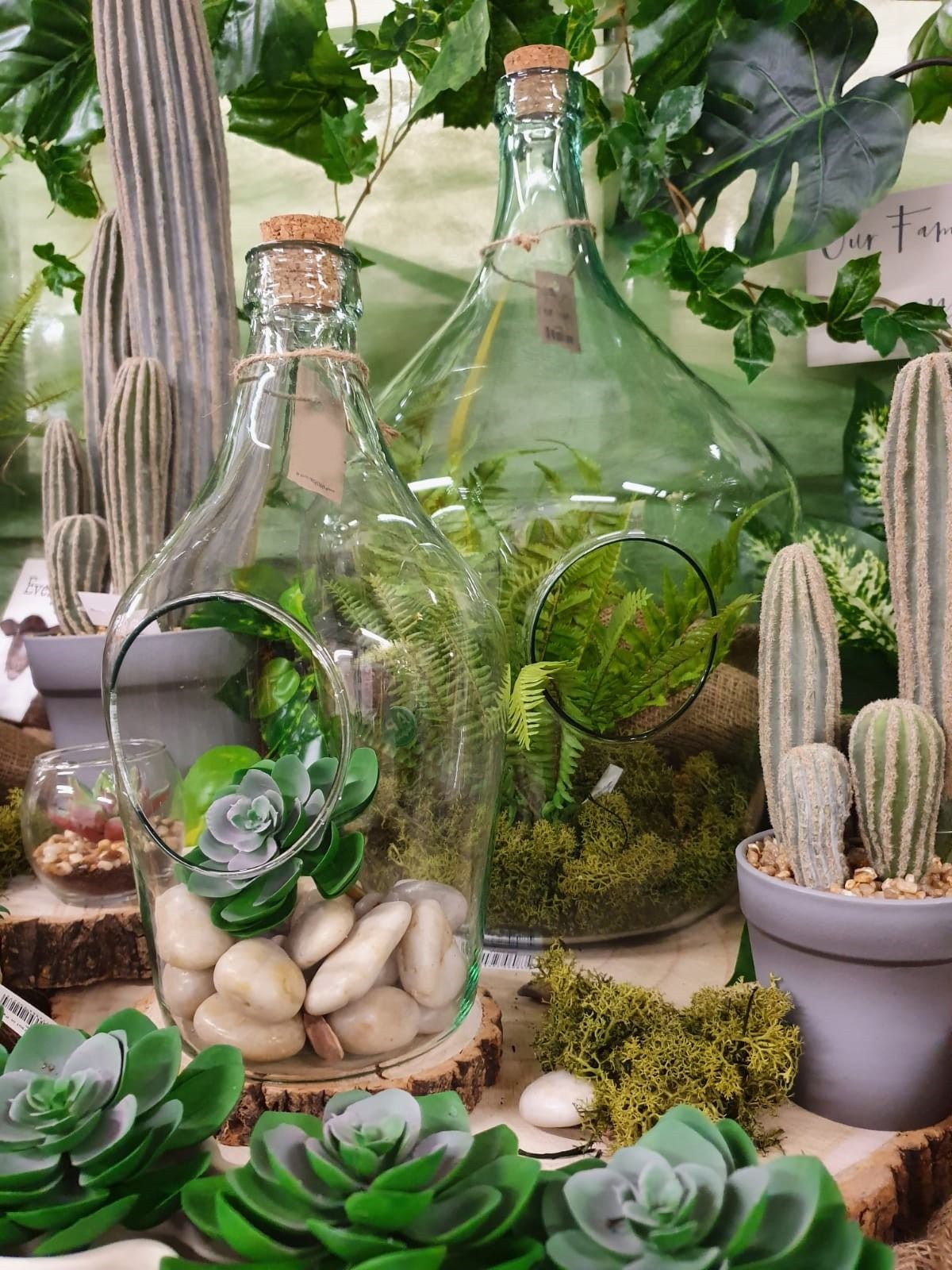 Terrarium