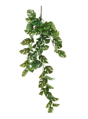 38" Mini Split Philo Hanging Bush (12/48)