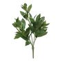 18" Bay Leaf Spray (12/96)