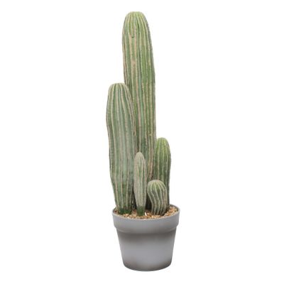 23" Potted Cactus x 6 (2/8)