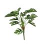 Split Philo Plant (38cm)