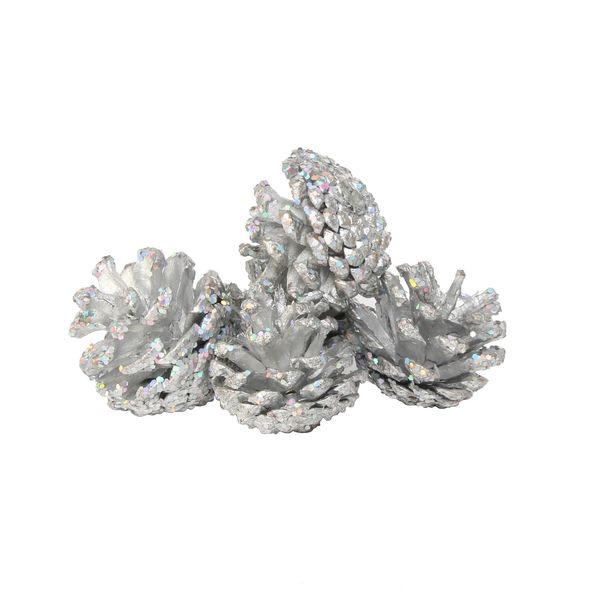 Silver Pinecones (250g / Net)