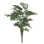 Split Philo Plant (46cm)