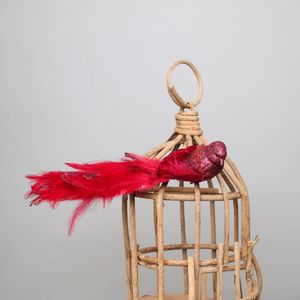 Red Lyre Bird Glitter w/clip