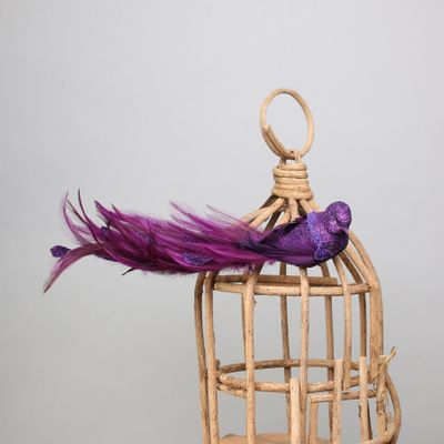 Purple Lyre Bird Glitter w/clip