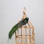 Green Velvet Bird w/clip 