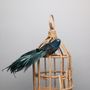 Blue Velvet Bird w/clip