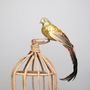 Gold Paradise Bird w/clip