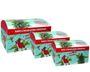 Dino Nested Gift Boxes (x3)