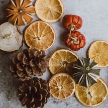Cones & Dried Fruit Image