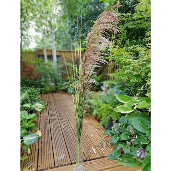 Pampas Spray 112cm