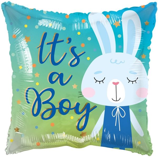 ECO Balloon - It�S A Boy Rabbit (18 Inch)