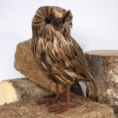 Tawny Owl Large 
