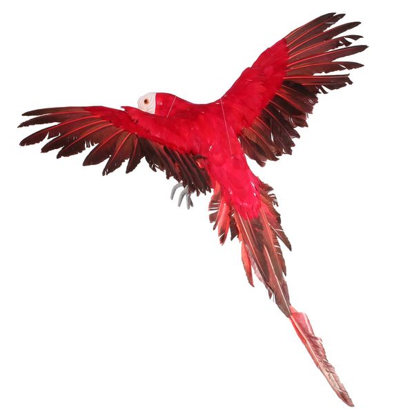 Red Flying Macaw (L)