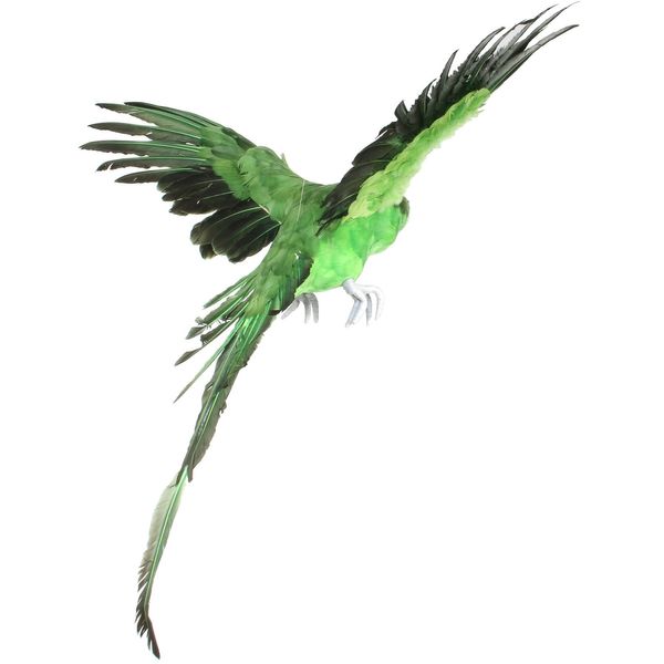 Green Flying Macaw (L)