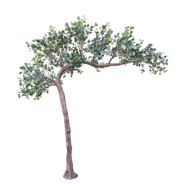 3.2m Eucalyptus Tree Green