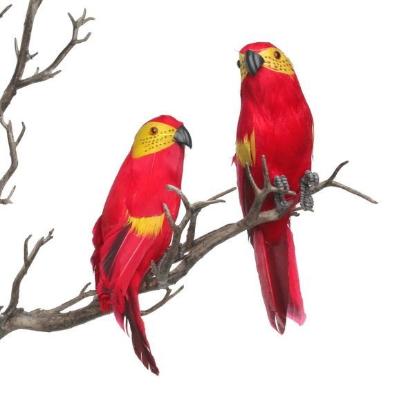 Red Mini Macaw