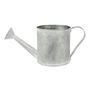 Antique Grey Zinc Watering Can 