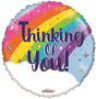 Eco Balloon - Thinking of You Rainbow (18 Inch)