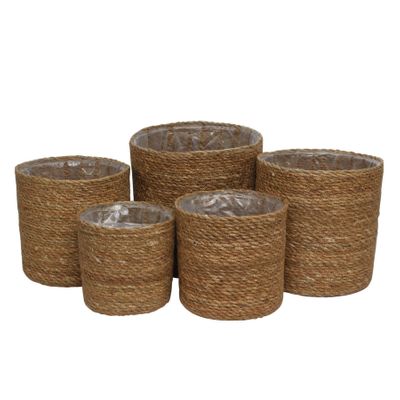 Set of 5 Seagrass Basket with Liner 