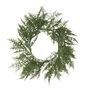 Asparagus Fern wreath 60cm