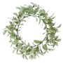 Lambs ear wreath 60cm