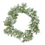 Dusty Miller and hops wreath 60cm