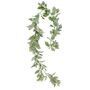 Dusty Miller and hops Garland 180cm