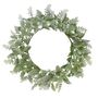 Lambs ear foliage mix Wreath 60cm 