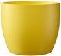 Basel Colour Splash Matte Sunny Yellow (W15cm x H16cm)