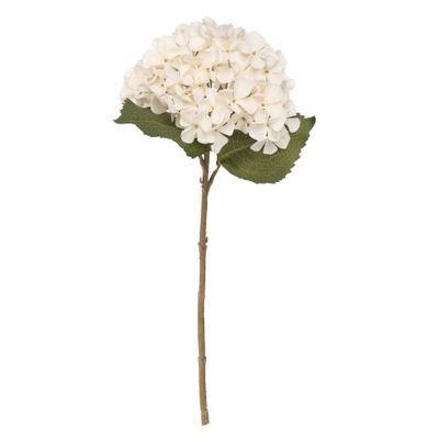 Balmoral Hydrangea Cream